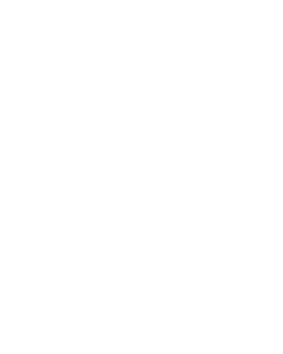 Fly to 90s